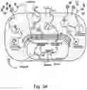 Fig. 38 - Modulation of proprotein convertase subtilisin/kexin 9 expression (PCSK9) with HSP 27 and/or HSP25