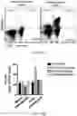 Fig. 13 - H3.3 CTL PEPTIDES AND USES THEREOF