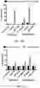Fig. 16 - H3.3 CTL PEPTIDES AND USES THEREOF