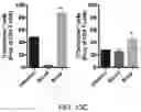 Fig. 18 - H3.3 CTL PEPTIDES AND USES THEREOF