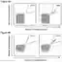 Fig. 22 - Peptides and combination of peptides for use in immunotherapy against hepatocellular carcinoma (HCC) and other cancers