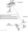 Fig. 01 - NEISSERIA MENINGITIDIS COMPOSITIONS AND METHODS THEREOF