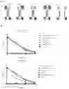 Fig. 05 - Vaccine molecules