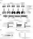 Fig. 11 - Vaccine molecules