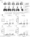 Fig. 13 - Vaccine molecules