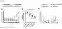 Fig. 15 - Vaccine molecules