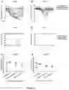 Fig. 04 - Immunogen for broad-spectrum influenza vaccine and application thereof