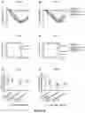 Fig. 07 - Immunogen for broad-spectrum influenza vaccine and application thereof