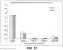 Fig. 12 - Immunogenic Antigens