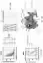 Fig. 15 - Modified viruses
