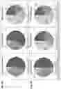 Fig. 03 - HIV vaccine regimens