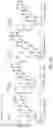 Fig. 06 - USE OF TOLL-LIKE RECEPTOR 2 (TLR-2) AGONIST FOR MODULATING HUMAN IMMUNE RESPONSE