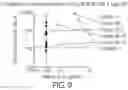 Fig. 12 - USE OF TOLL-LIKE RECEPTOR 2 (TLR-2) AGONIST FOR MODULATING HUMAN IMMUNE RESPONSE