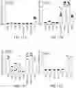 Fig. 14 - USE OF TOLL-LIKE RECEPTOR 2 (TLR-2) AGONIST FOR MODULATING HUMAN IMMUNE RESPONSE