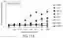 Fig. 15 - USE OF TOLL-LIKE RECEPTOR 2 (TLR-2) AGONIST FOR MODULATING HUMAN IMMUNE RESPONSE
