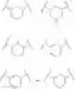 Fig. 20 - USE OF TOLL-LIKE RECEPTOR 2 (TLR-2) AGONIST FOR MODULATING HUMAN IMMUNE RESPONSE