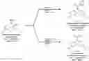Fig. 01 - Integrin agonists or activating compounds and methods for making and using same