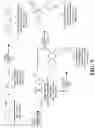 Fig. 06 - Integrin agonists or activating compounds and methods for making and using same
