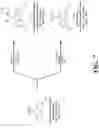Fig. 08 - Integrin agonists or activating compounds and methods for making and using same
