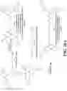 Fig. 13 - Integrin agonists or activating compounds and methods for making and using same