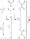 Fig. 22 - Integrin agonists or activating compounds and methods for making and using same