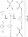 Fig. 24 - Integrin agonists or activating compounds and methods for making and using same