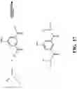 Fig. 25 - Integrin agonists or activating compounds and methods for making and using same