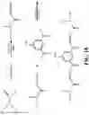 Fig. 26 - Integrin agonists or activating compounds and methods for making and using same