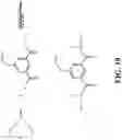 Fig. 27 - Integrin agonists or activating compounds and methods for making and using same