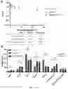 Fig. 11 - METHODS AND COMPOSITIONS FOR TREATING INFLAMMATORY AND AUTOIMMUNE CONDITIONS WITH ECM-AFFINITY PEPTIDES LINKED TO ANTI-INFLAMMATORY AGENTS