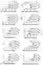 Fig. 20 - METHODS AND COMPOSITIONS FOR TREATING INFLAMMATORY AND AUTOIMMUNE CONDITIONS WITH ECM-AFFINITY PEPTIDES LINKED TO ANTI-INFLAMMATORY AGENTS