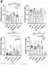 Fig. 23 - METHODS AND COMPOSITIONS FOR TREATING INFLAMMATORY AND AUTOIMMUNE CONDITIONS WITH ECM-AFFINITY PEPTIDES LINKED TO ANTI-INFLAMMATORY AGENTS
