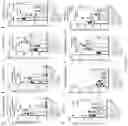 Fig. 31 - METHODS AND COMPOSITIONS FOR TREATING INFLAMMATORY AND AUTOIMMUNE CONDITIONS WITH ECM-AFFINITY PEPTIDES LINKED TO ANTI-INFLAMMATORY AGENTS