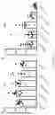 Fig. 40 - METHODS AND COMPOSITIONS FOR TREATING INFLAMMATORY AND AUTOIMMUNE CONDITIONS WITH ECM-AFFINITY PEPTIDES LINKED TO ANTI-INFLAMMATORY AGENTS