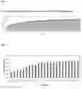 Fig. 03 - DOUBLE STRANDED OLIGONUCLEOTIDE CONSTRUCT COMPRISING ANDROGEN RECEPTOR SPECIFIC SEQUENCE, AND COMPOSITION FOR PREVENTING HAIR LOSS AND PROMOTING HAIR GROWTH COMPRISING SAME