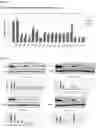 Fig. 04 - DOUBLE STRANDED OLIGONUCLEOTIDE CONSTRUCT COMPRISING ANDROGEN RECEPTOR SPECIFIC SEQUENCE, AND COMPOSITION FOR PREVENTING HAIR LOSS AND PROMOTING HAIR GROWTH COMPRISING SAME
