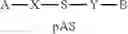 Fig. 09 - DOUBLE STRANDED OLIGONUCLEOTIDE CONSTRUCT COMPRISING ANDROGEN RECEPTOR SPECIFIC SEQUENCE, AND COMPOSITION FOR PREVENTING HAIR LOSS AND PROMOTING HAIR GROWTH COMPRISING SAME