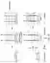 Fig. 18 - SYNTHESIS OF BIOMIMETIC CELL WALL STRUCTURE