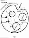 Fig. 05 - Mannose-based mRNA targeted delivery system and use thereof
