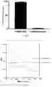 Fig. 06 - Mannose-based mRNA targeted delivery system and use thereof