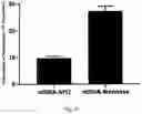Fig. 07 - Mannose-based mRNA targeted delivery system and use thereof