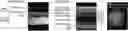 Fig. 01 - COMPOSITIONS AND METHODS FOR PREVENTING OR REDUCING INFLAMMATION BY INHIBITING CASPASE-9