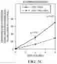 Fig. 14 - COMPOSITIONS AND METHODS FOR PREVENTING OR REDUCING INFLAMMATION BY INHIBITING CASPASE-9