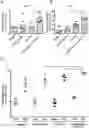 Fig. 01 - Combination of an immune checkpoint modulator and a complex comprising a cell penetrating peptide, a cargo and a TLR peptide agonist for use in medicine