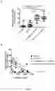 Fig. 04 - Combination of an immune checkpoint modulator and a complex comprising a cell penetrating peptide, a cargo and a TLR peptide agonist for use in medicine