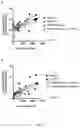 Fig. 06 - Combination of an immune checkpoint modulator and a complex comprising a cell penetrating peptide, a cargo and a TLR peptide agonist for use in medicine
