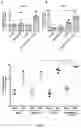 Fig. 08 - Combination of an immune checkpoint modulator and a complex comprising a cell penetrating peptide, a cargo and a TLR peptide agonist for use in medicine