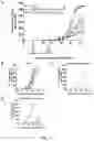 Fig. 13 - Combination of an immune checkpoint modulator and a complex comprising a cell penetrating peptide, a cargo and a TLR peptide agonist for use in medicine