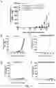 Fig. 15 - Combination of an immune checkpoint modulator and a complex comprising a cell penetrating peptide, a cargo and a TLR peptide agonist for use in medicine