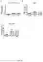 Fig. 23 - Combination of an immune checkpoint modulator and a complex comprising a cell penetrating peptide, a cargo and a TLR peptide agonist for use in medicine